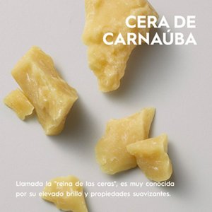 CERA DE CARNAÚBA